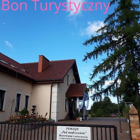 Bed and Breakfast Pensjonat Agroturystyczny Pod Modrzewiem Florczaki Exterior foto