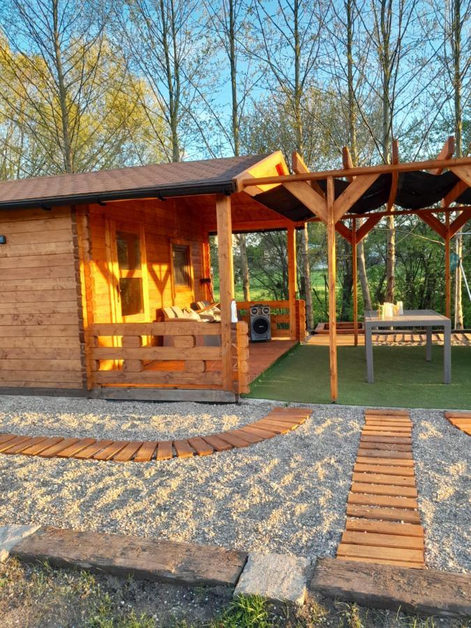 Bed and Breakfast Pensjonat Agroturystyczny Pod Modrzewiem Florczaki Exterior foto