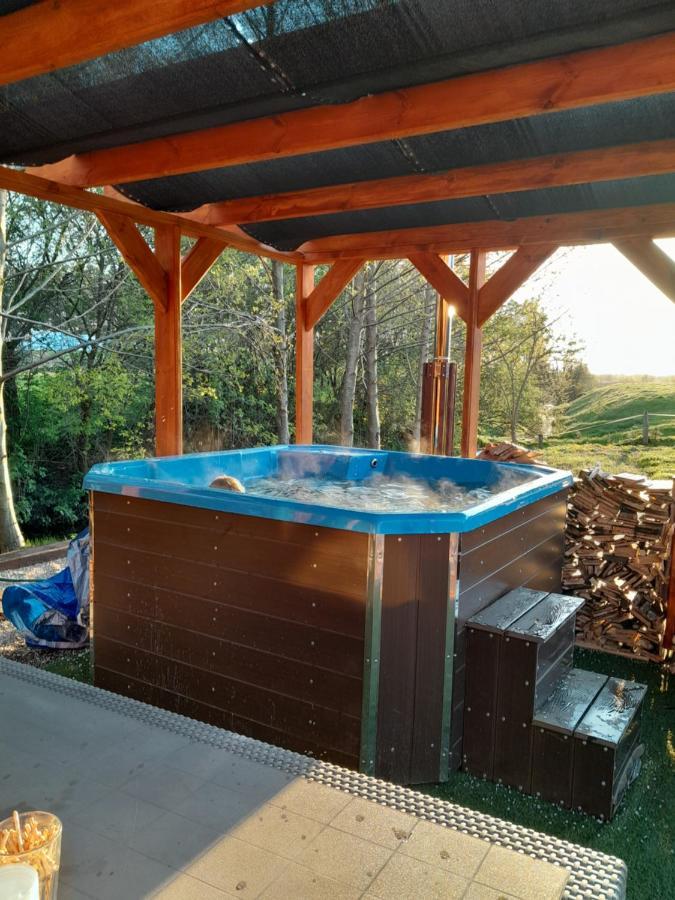 Bed and Breakfast Pensjonat Agroturystyczny Pod Modrzewiem Florczaki Exterior foto
